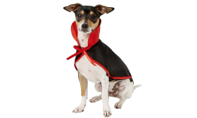Costume de vampire pour chien, noir et rouge, avec col haut et nœud, ensemble 2-en-1, léger, durable et réglable.