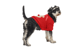Cappotto natalizio rosso per cani con design di orso morbido sulla schiena, con bottoni, lavabile, caldo e stiloso.