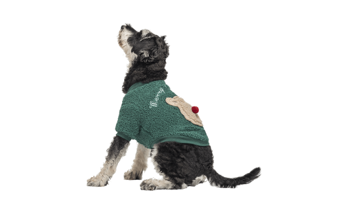 Cappotto natalizio verde per cani con design di orso morbido sulla schiena, con bottoni, lavabile, per l'inverno e l'autunno.