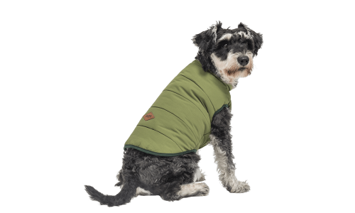 Gilet invernale antivento verde per cani, vestibilità comoda, progettato per calore e protezione in clima freddo.