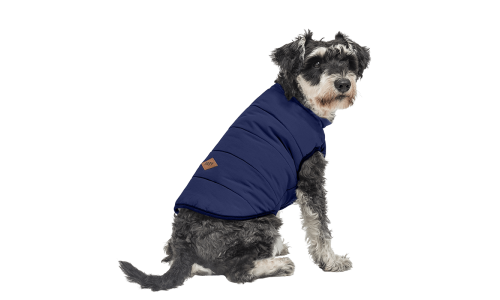 Gilet invernale antivento blu navy per cani, vestibilità comoda, progettato per calore e protezione in clima freddo.