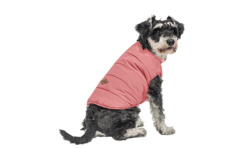 Gilet invernale antivento rosa per cani, vestibilità comoda, progettato per calore e protezione in clima freddo.