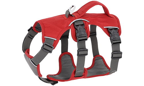 Harnais Réfléchissant Imperméable pour Chien Harnais rouge étanche pour chien avec sangles ajustables, adapté à différents chiens, avec anneau argenté robuste.