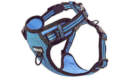 Harnais pour Chien Nylon Harnais bleu en nylon respirant pour chien, avec boucle et sangles ajustables, ajustement parfait, durable.