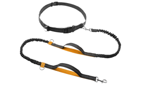 Laisse rétractable mains libres orange pour chien, 70-120 cm, 2,5 cm de largeur, ceinture ajustable, poignées rembourrées.
