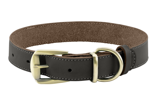 Luxuriöses Hundehalsband aus echtem Leder in Braun mit goldener verstellbarer Schnalle, langlebig und stark, mit D-Ring.