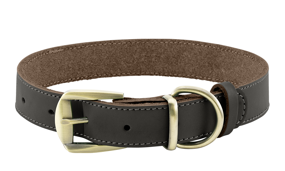 Luxuriöses Hundehalsband aus Echtem Leder Luxuriöses Hundehalsband aus echtem Leder in Braun mit goldener verstellbarer Schnalle, langlebig und stark, mit D-Ring.