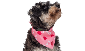 Bandana rose pour chien "LOVE", cœurs rouges et baisers, parfait pour la Saint-Valentin, coton doux et confortable.