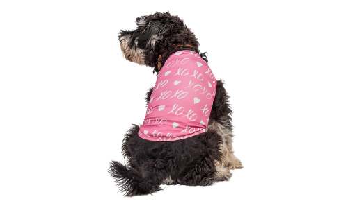 Cane con gilet rosa a tema San Valentino, cuore bianco e 'XOXO', un outfit festivo e stiloso per il tuo cucciolo.