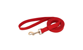 Kit harnais rouge pour chien avec collier et laisse assortis, léger, boucle dorée, ajustable pour un confort optimal.