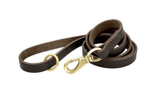Braune Luxus-Hundeleine aus echtem Leder, 150 cm lang, komfortabel, mit goldenem Metallverschluss und Ring für Langlebigkeit.
