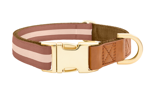 Braunes Hundehalsband mit verstellbarem goldenen Metallverschluss, 40-63 cm Länge und 2,5 cm breit, mit D-Ring.