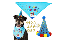 Set d'anniversaire pour chien bleu avec bandana coloré "C'est mon anniversaire !", léger pour le confort du chien.