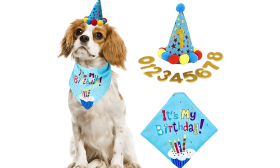 Set d'anniversaire pour chien bleu avec bandana coloré "C'est mon anniversaire !", doux et durable.
