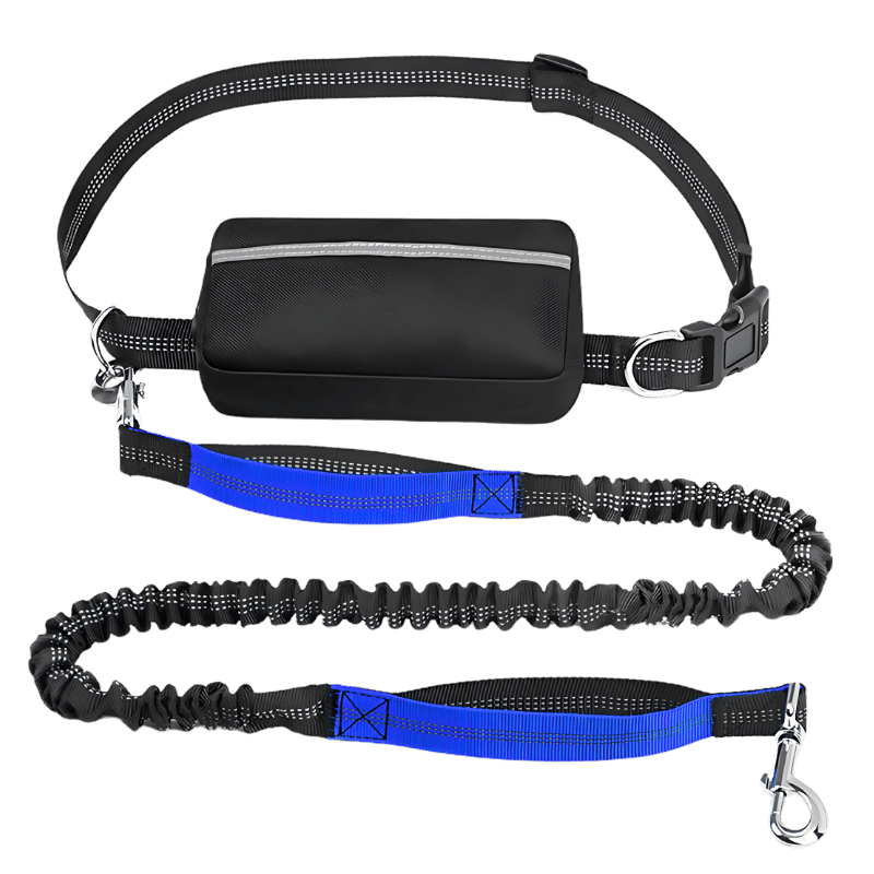 Laisse Mains Fibres pour Chien avec Ceinture Réglable et Pochette Laisse mains libres bleue pour chien, ceinture ajustable et pochette, de 27 à 48 pouces, idéale pour courir.