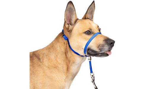 Blaues No-Pull Hundekopfgeschirr, verstellbarer Riemen, gepolsterte Nasenschlaufe, Größe S.