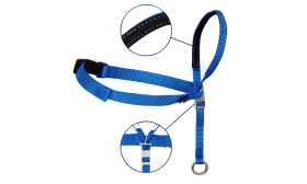 Collier de tête anti-traction bleu pour chien avec sangle ajustable noire et boucle de nez rembourrée, taille moyenne.