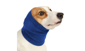 Snood pour Chien contre l'Anxiété pour une Protection des Oreilles contre le Bruit et l'Hiver