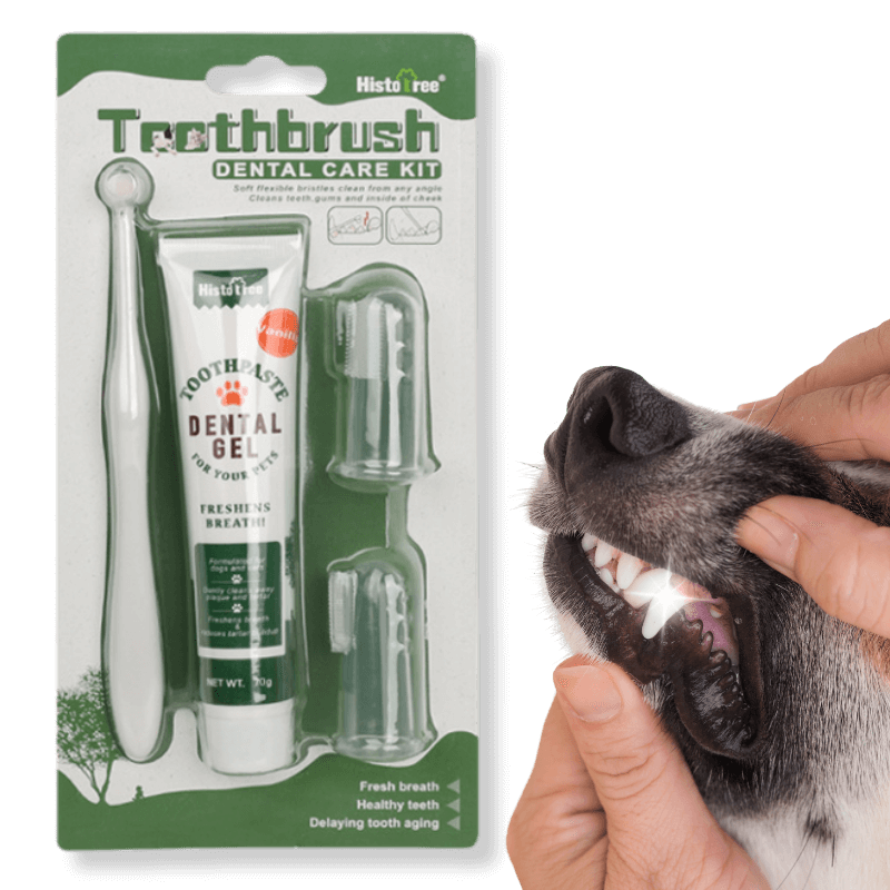 Set Complet de Soins bucco-dentaires pour Chiens : brosse à dent, 2 brosses à doigts et dentifrice à la vanille