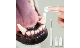 Set Complet de Soins bucco-dentaires pour Chiens : brosse à dent, 2 brosses à doigts et dentifrice à la vanille