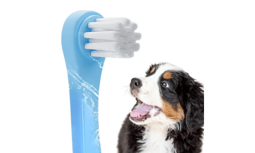 Gentle Clean Zahnbürste für Hunde und Katzen mit weichen Nylonborsten