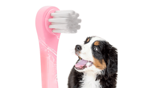 Gentle Clean Zahnbürste für Hunde und Katzen mit weichen Nylonborsten