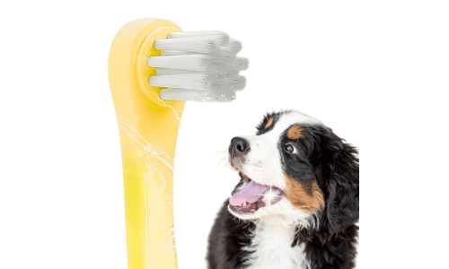 Gentle Clean Zahnbürste für Hunde und Katzen mit weichen Nylonborsten