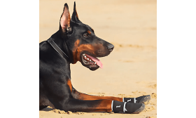 Chaussures pour Chien Réfléchissantes 360° – Bottines Antidérapantes et Imperméables avec Protection des Pattes