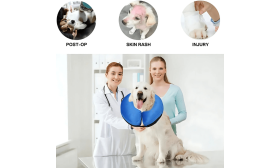 Collier Gonflable pour Chien - Collier de Récupération Réglable pour Animaux de Compagnie