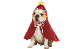 Cape de Noël pour chien – Déguisement festif pour animal de compagnie