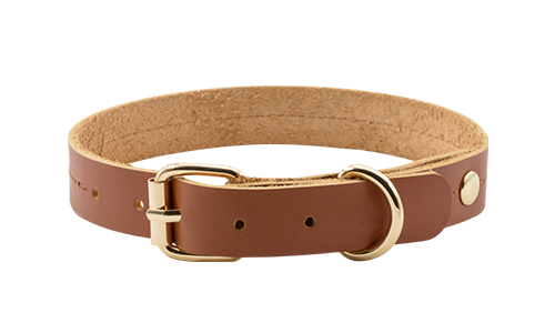 Collare in Vera Pelle di Alta Qualità per Cani Collare per cane in pelle marrone, 27-34 cm, 2,2 cm di larghezza, fibbia dorata e D-ring per resistenza.